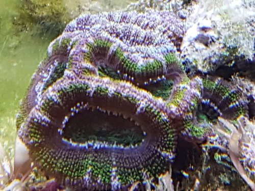 20171210_124819.jpg