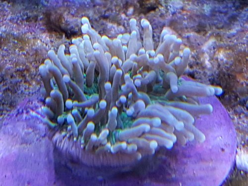 20180101_131929.jpg