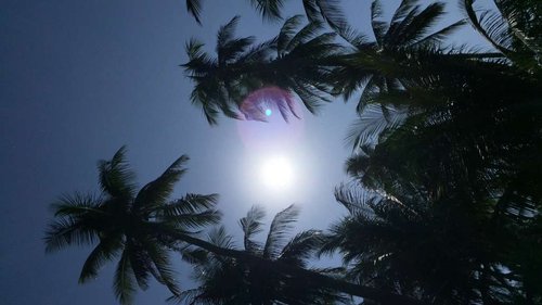 CEE6DA5D-616B-4AD6-933A-6961C1D921D8.jpeg