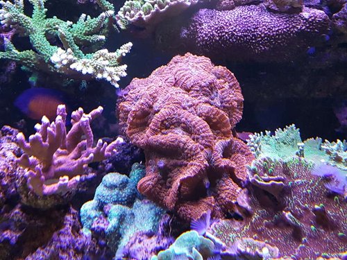 20180121_114309.jpg