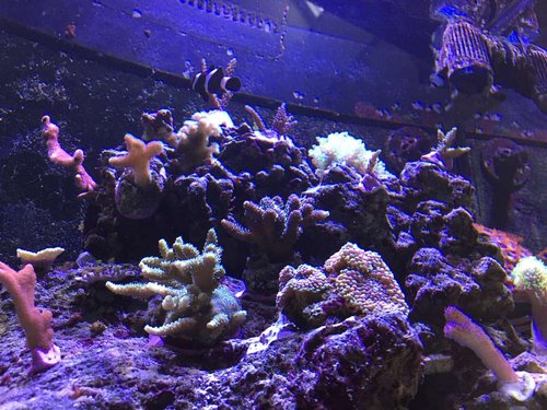IMG_6336.JPG