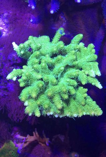 DCD0B683-49D6-4689-8C91-DD724FEB697F.jpeg