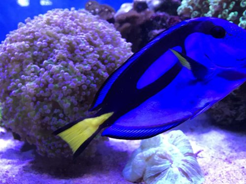 E7CED777-2864-4A6C-9039-6056354DDEB5.jpeg