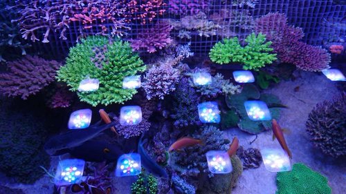 DSCPDC_0003_BURST20180306195759377_COVER.JPG
