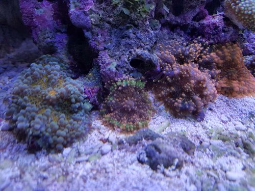 20180502_194338.jpg