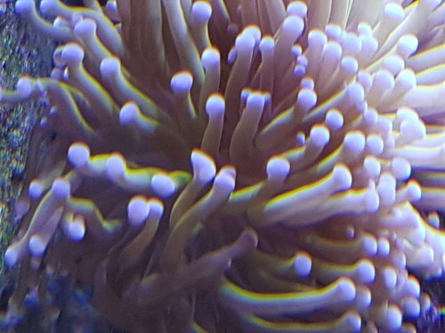 20180502_194512.jpg