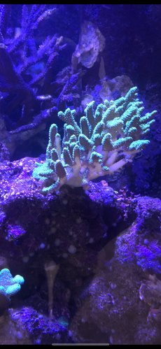 D3750629-00EF-4D3C-9AD7-55F92EEDF81A.png