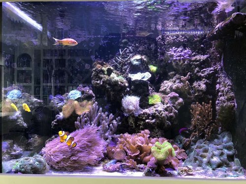 FTS