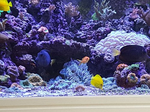 20180805_154335.jpg