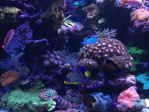2CE6C044-1740-4F3F-BEED-A76EFC4C70CC.jpeg