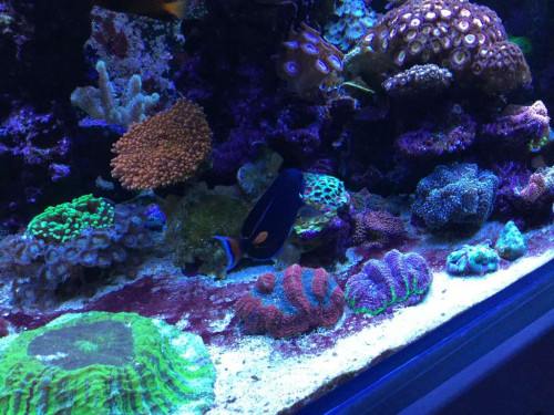 D7C02870-95E6-4DEE-AB78-BE39F7ACAFF7.jpeg