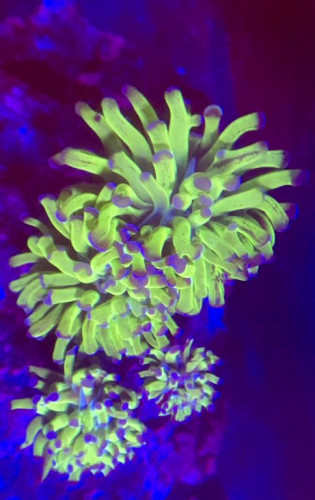 D3938E54-266E-459A-B83A-FBAE1FE008FE.jpeg