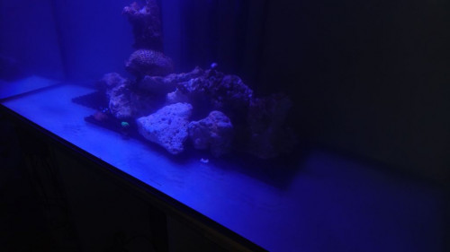 DSC_2068.JPG