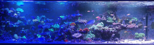 FTS under &quot;solnedgang&quot;