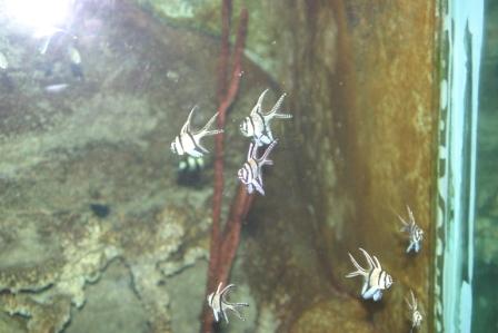IMG_5569.JPG