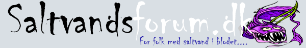 site_logo_SF.png