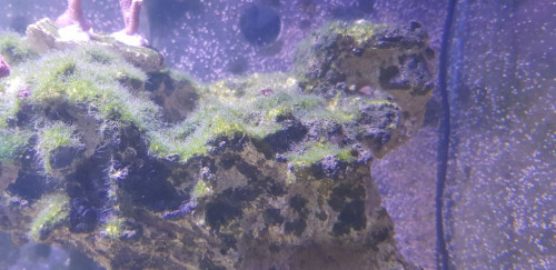 20190901_103948.jpg