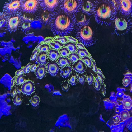 28F3B21F-F995-4874-A740-4C554EC6862F.jpeg