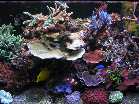 forum pic 76.jpg