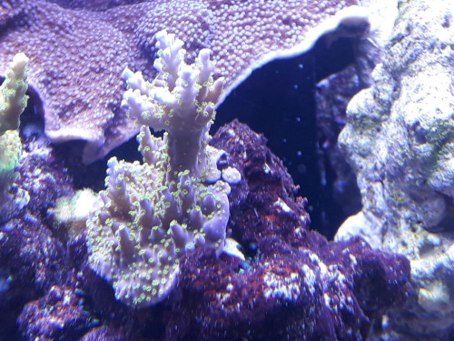 20191106_163551.jpg