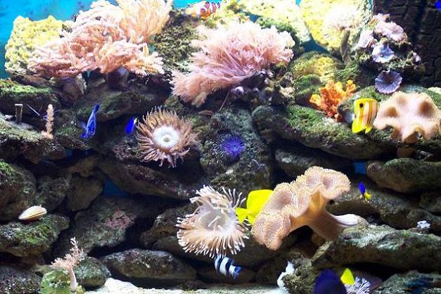 100_2673.JPG