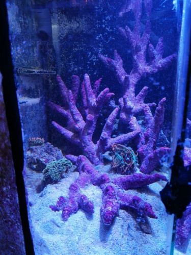 sump 2.jpg