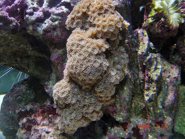 DSC08544.jpg