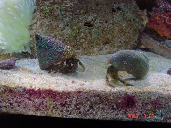 DSC08504.jpg