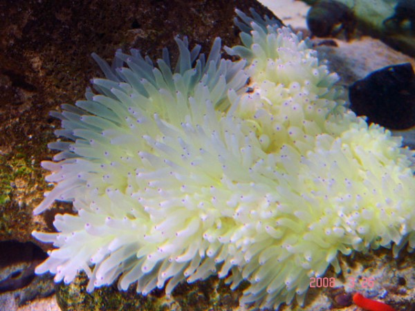DSC08501.jpg