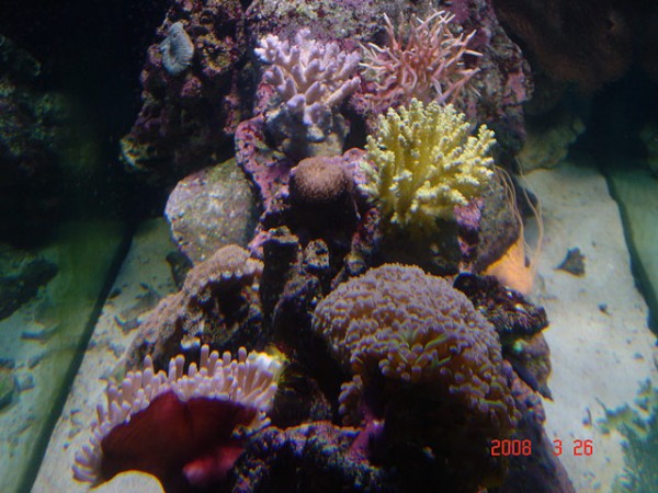 DSC08492.jpg