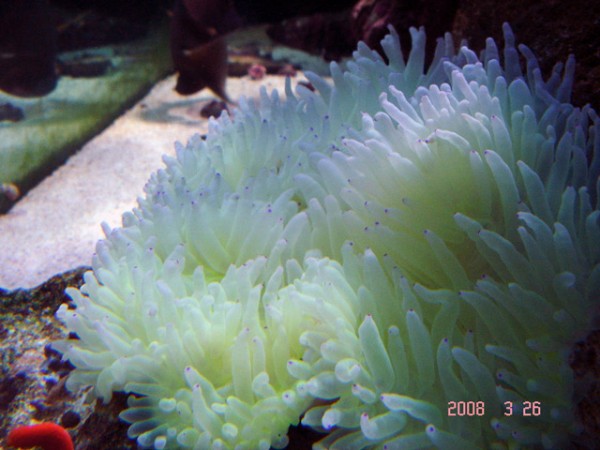 DSC08490.jpg