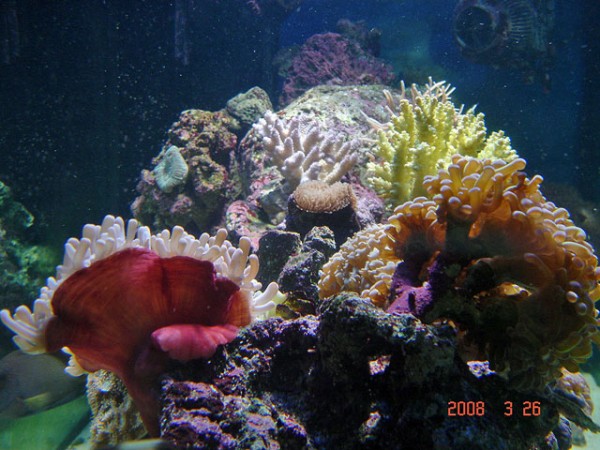 DSC08487.jpg