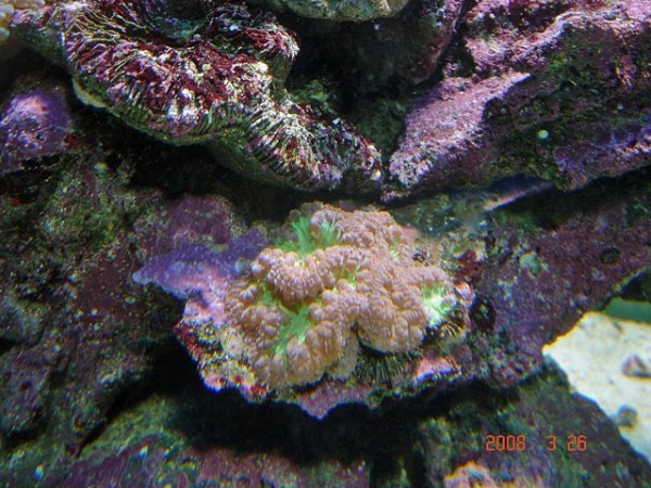 DSC08479.jpg