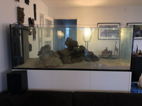 klIMG_8618.JPG