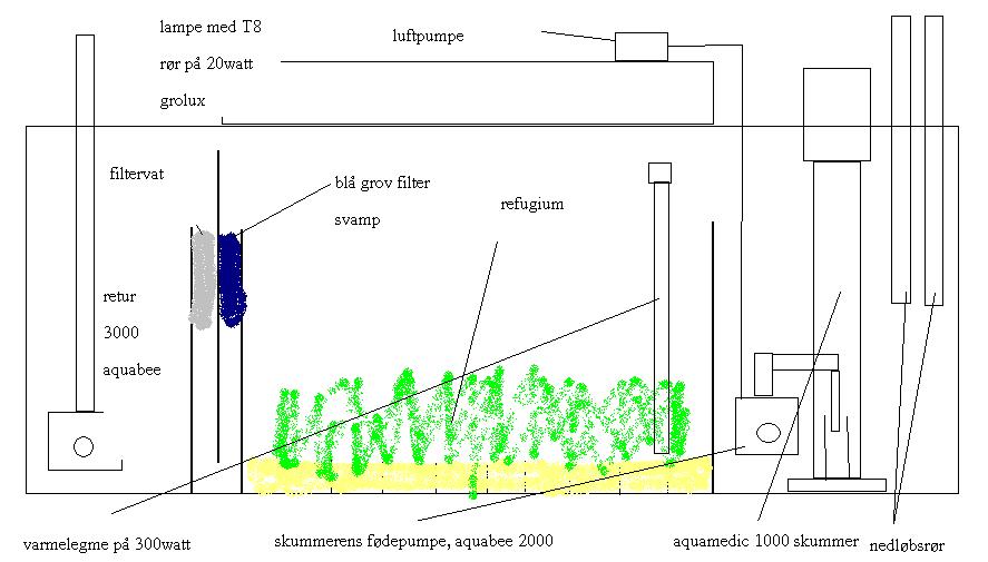 Diagram over sumpen