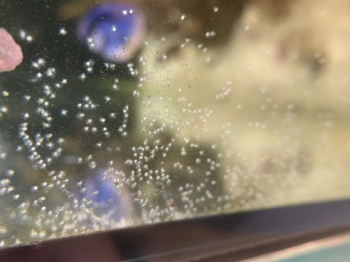 42C16E02-732F-430C-B723-6DE09AE599CE.jpeg