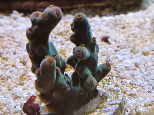 20201006_162845.jpg
