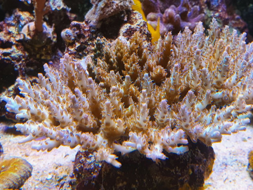 20201022_193108.jpg