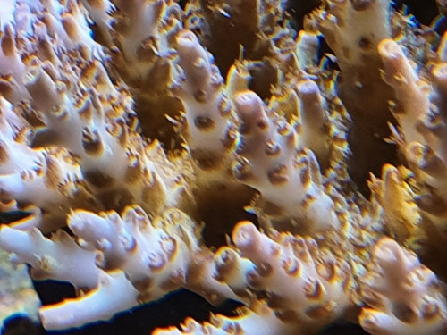 20201022_193343.jpg