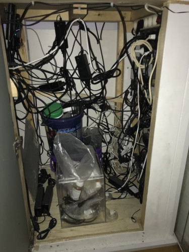 IMG_7391 2.jpeg