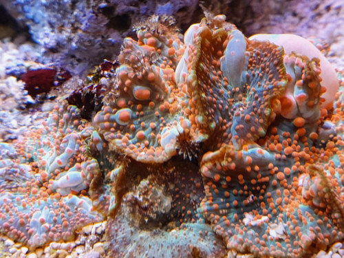 20201125_203425.jpg