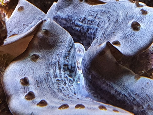 20201126_181135.jpg
