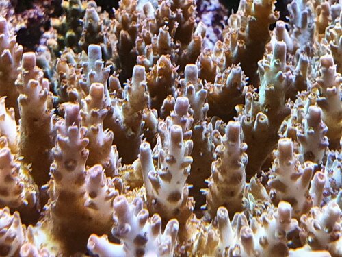 20201209_205716.jpg