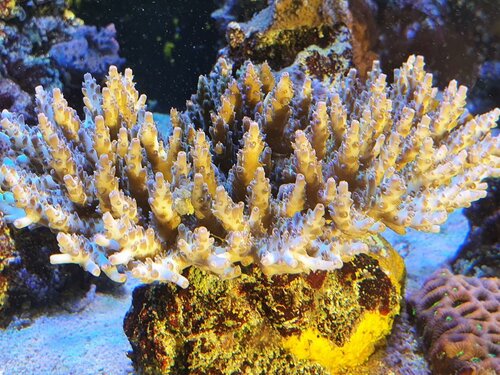 20201225_135704.jpg