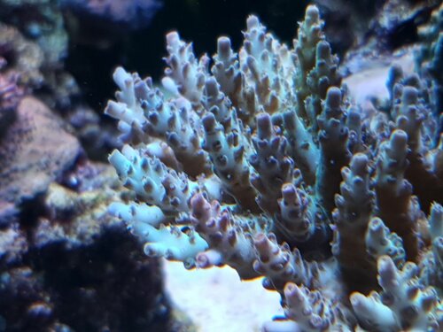 20201227_214750.jpg
