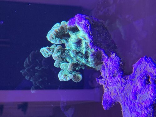 IMG_3686.jpeg