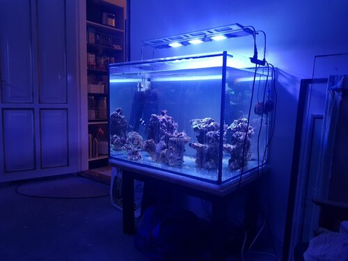 20210222_184618.jpg