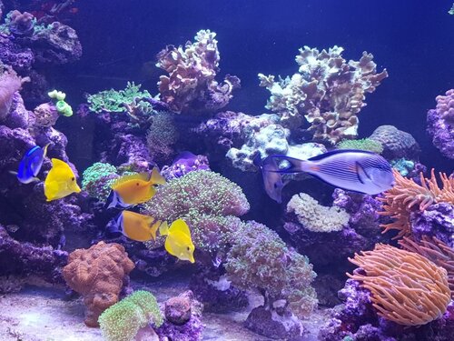 20210313_151611.jpg
