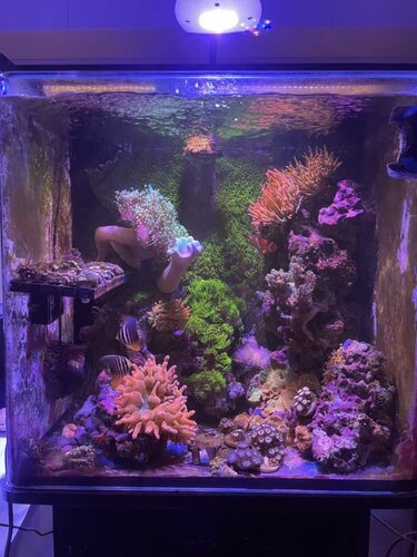 FTS
