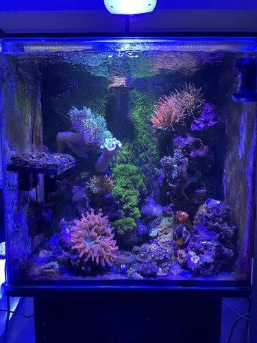 FTS